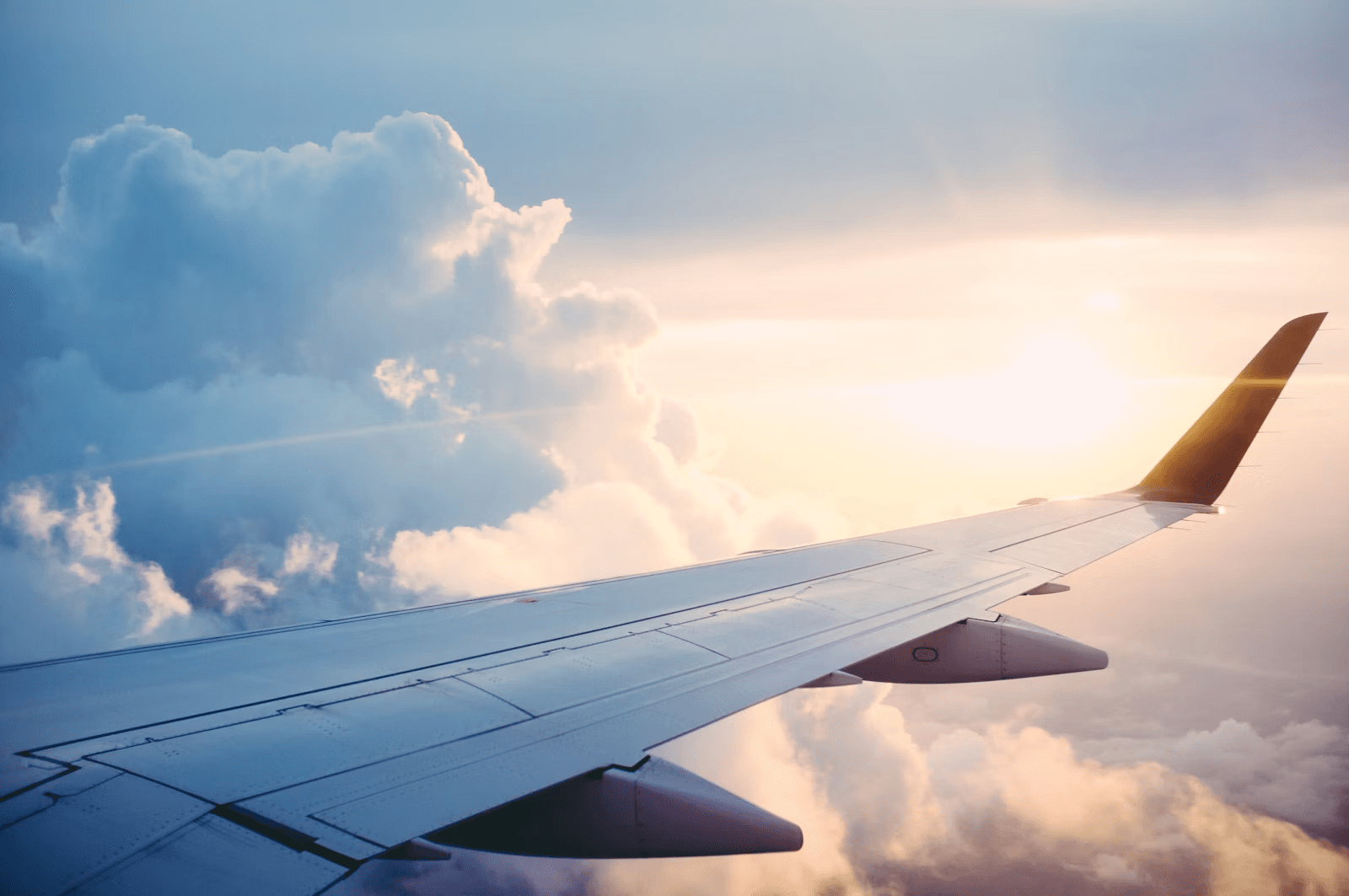 Travel & Ticket